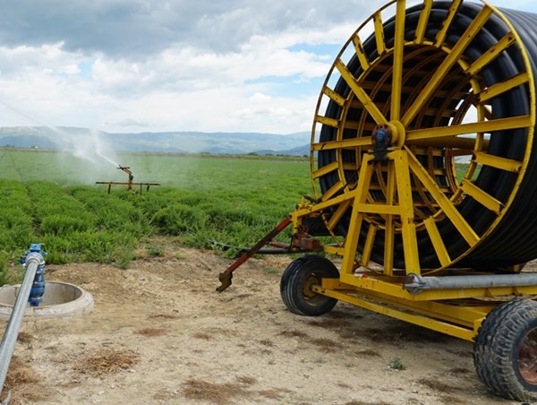 Υπόγειοι αρδευτικοί αγωγοί σε Φαλάνη και Γιάννουλη